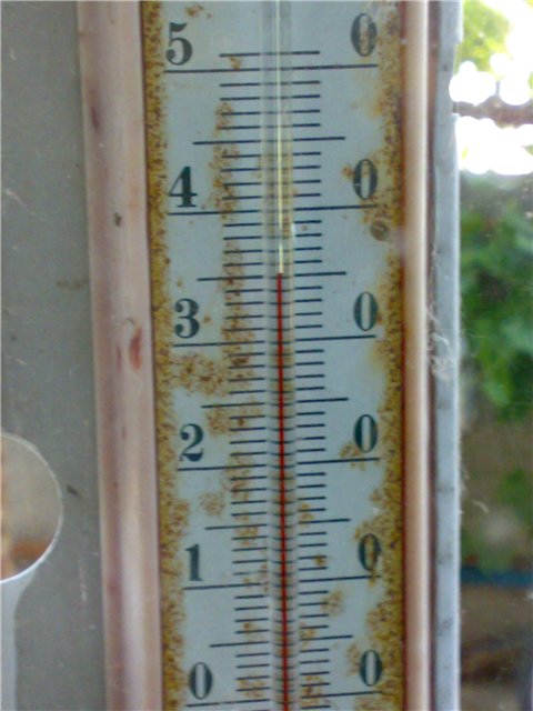 aec88344d446.jpg