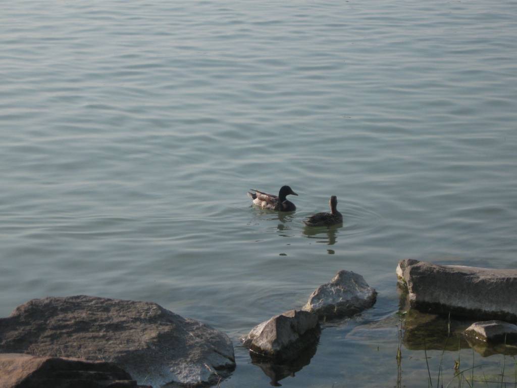 af24e635cdd3be5bb9556f4129a2a8965f87f715