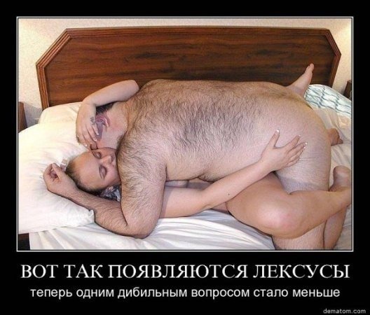 c7c59335bd9d.jpg