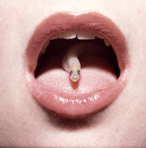 cornelie_tollens_hard_love15.jpg