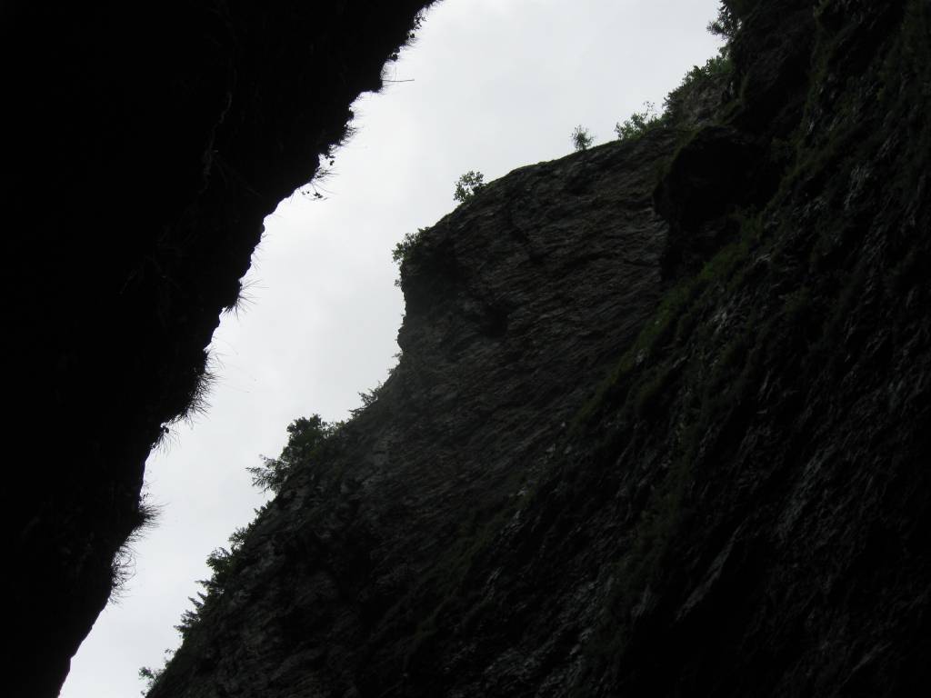 daeb5d584facb12f1990f468a7a671352ec93615