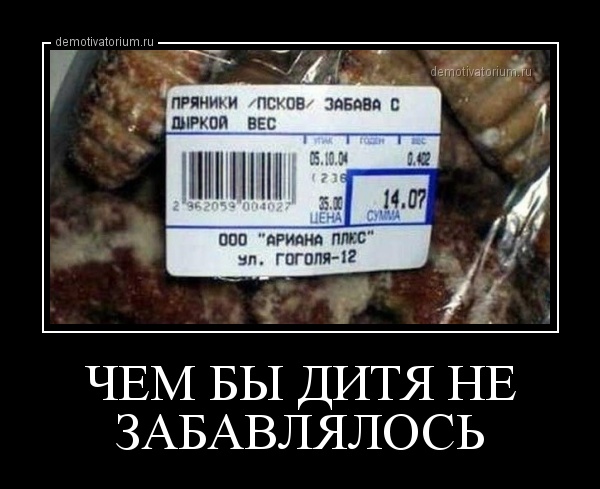 demotivatorium_ru_chem_bi_ditja_ne_zabav
