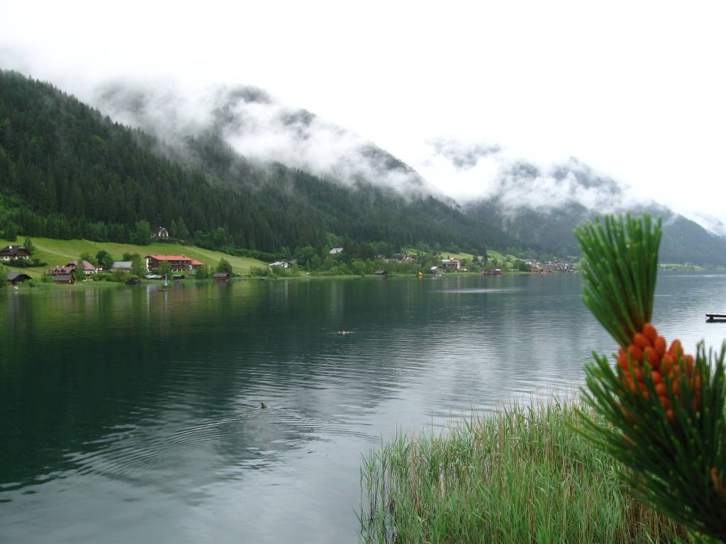 e74316f59290087044840d289349c23a2ec95115