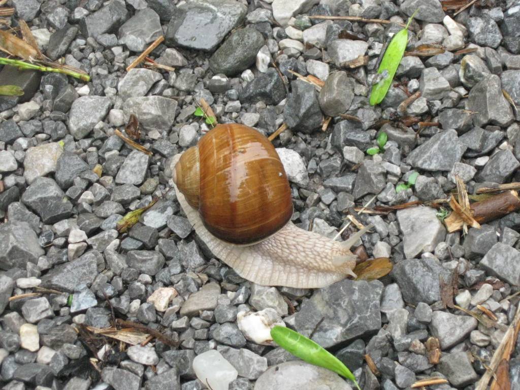 f639013333d0d7fcdbbe22e2d2e304d82ec95115