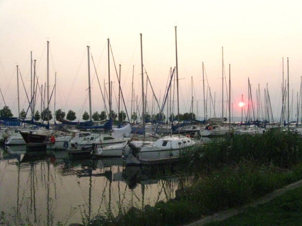 fc2b96e1fcbc9a6e90386fb29458a11c5f87f715