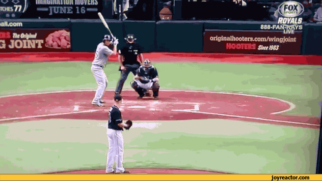 gif-baseball-winfail-968229.gif