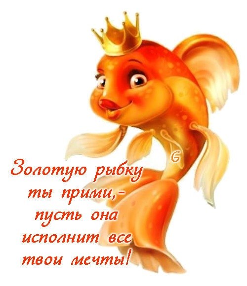 orig_b9217b55413d174a52a4a7e826f3411a.jp