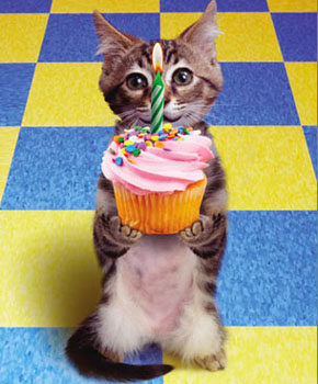 otkryitki-na-den-rozhdeniya-s-kotami11.j