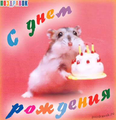 otkrytka-s-dnem-rozhdeniya.jpg