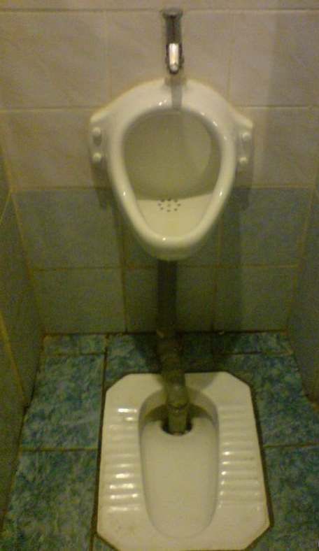 toilet_10.jpg