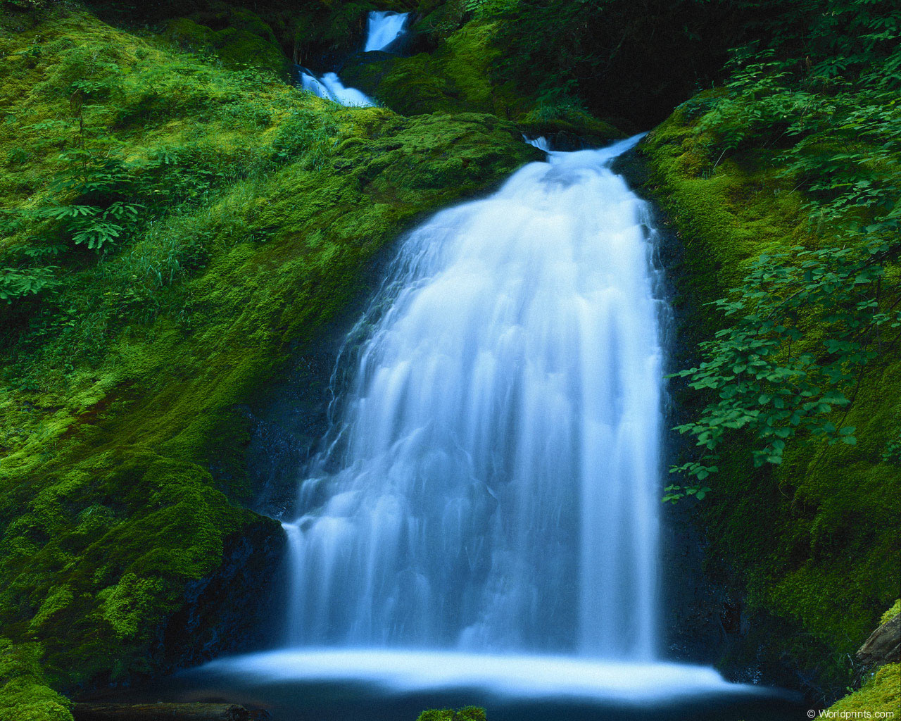 u755_8071_mossy_falls.jpg