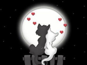 valentines-300x225.jpg