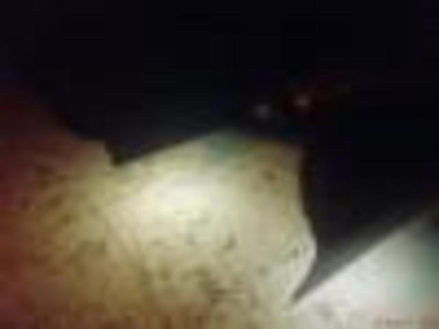 post-16421-0-41915400-1295890829_thumb.j