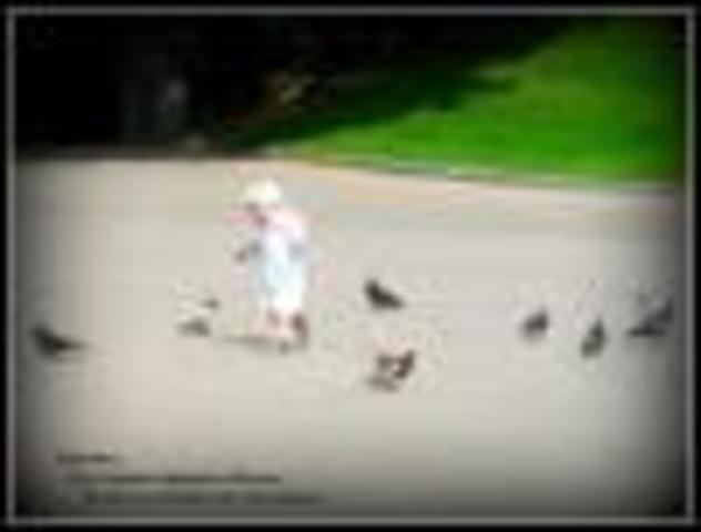 post-38863-0-15280300-1296387018_thumb.j