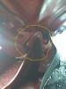 post-16997-0-94214800-1298567957_thumb.j