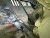 post-40195-0-03388400-1303056450_thumb.j