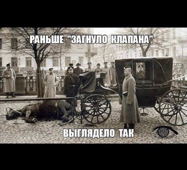 post-21506-0-29590100-1428865479_thumb.j