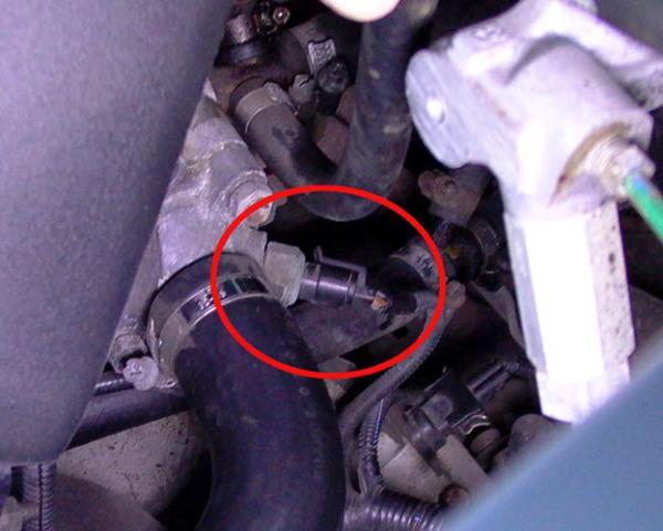 post-23307-0-80360200-1440091411_thumb.j