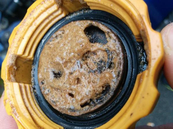 post-12197-0-51918500-1445577350_thumb.j