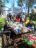IMG-0a490b0562c2993a897618bc85c66906-V.jpg