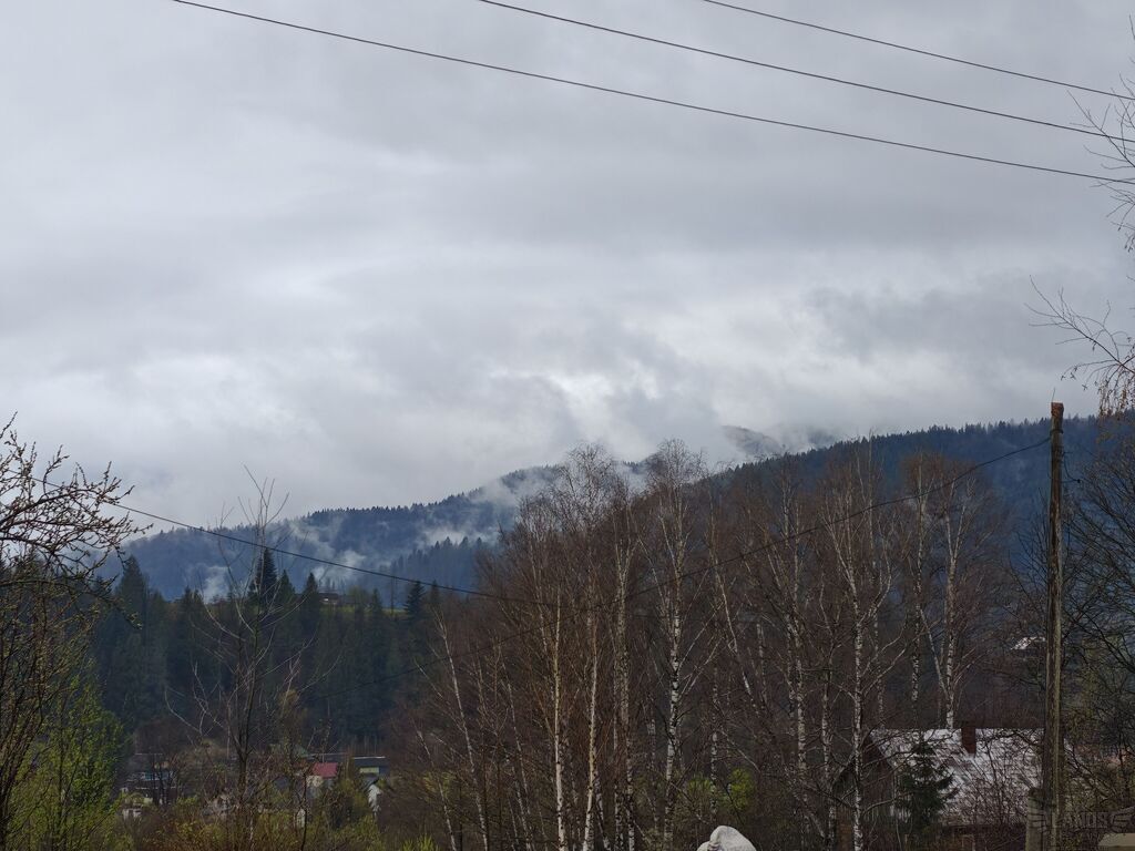 IMG_20260420_183337.jpg