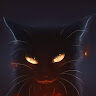 Black Kot