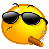 engsyst
