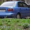 LuiNet