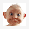 taxkr