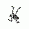 cobold