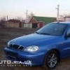 adipin34