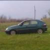 donmax2010