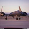 BlackBird
