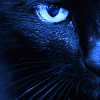 sherhan
