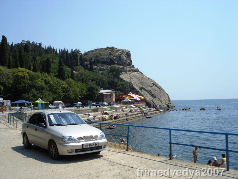 trimedvedya2007