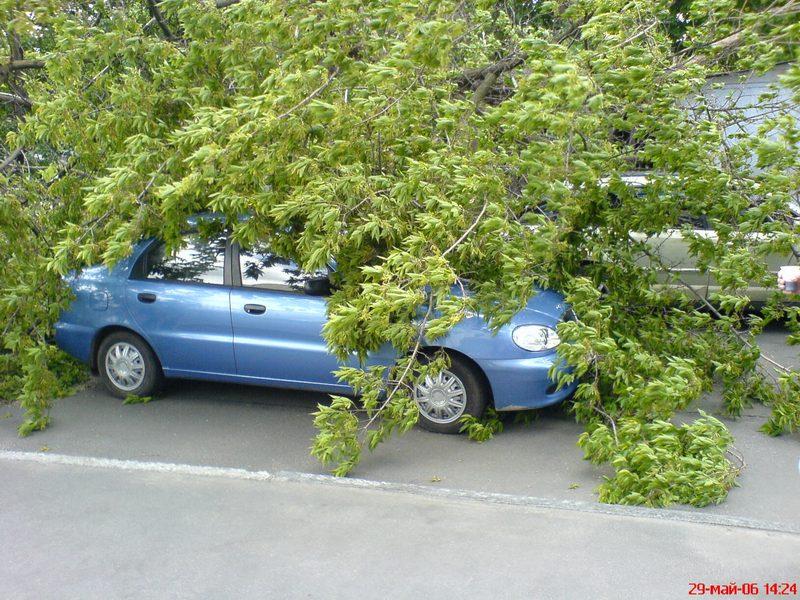 Bodja