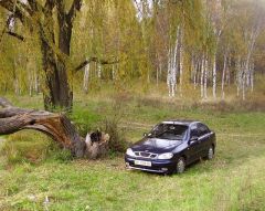 На природе - в Дендропарке.