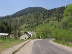 S1