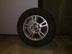 R13 Primo_1
