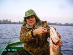 fish_2007_2