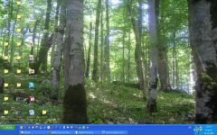 Рабочий стол