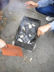 Клубный пикник 9 октября 2005