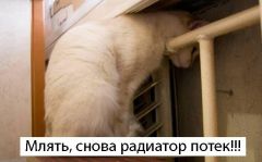 Радиатор