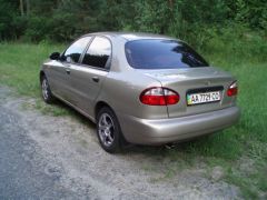 В лесу