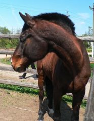 7ая встреча фото 7