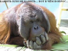 Юмор