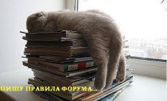 Юмор