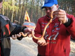 шашлык 29.03.2009