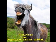 жжом