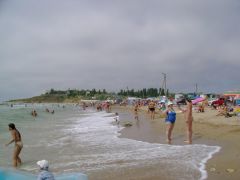 Новая Дофиновка